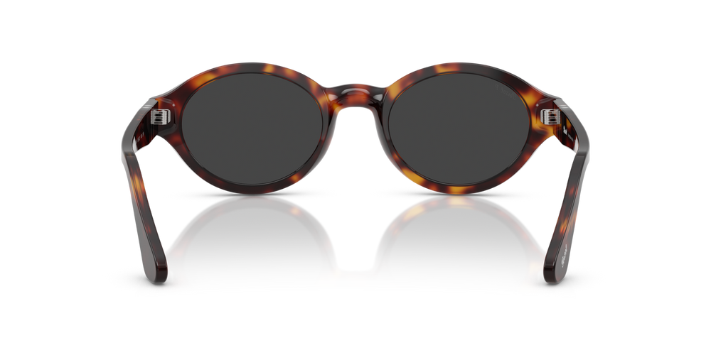 Persol PO3378S - Loris con Montatura Havana e Lenti Grigio - Immagine 5