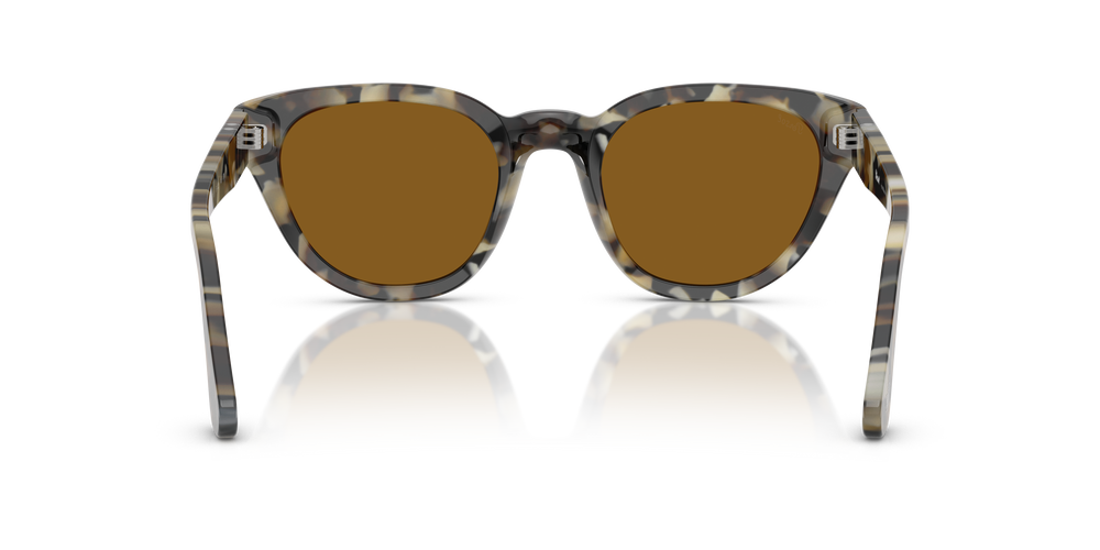 Persol PO3379S con Montatura Tartarugato Marrone e Lenti Marrone - Immagine 5