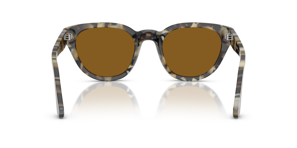 Persol PO3379S com armação Tartaruga Castanho e lentes Castanho - Imagens 5