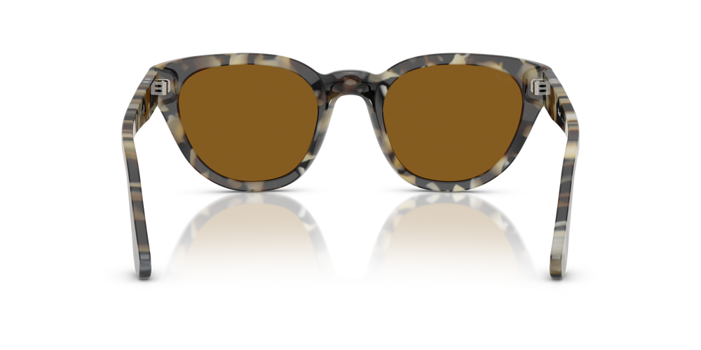 Persol PO3379S mit Braun Tortoise Gestell und Braun Gläsern - Bild 5