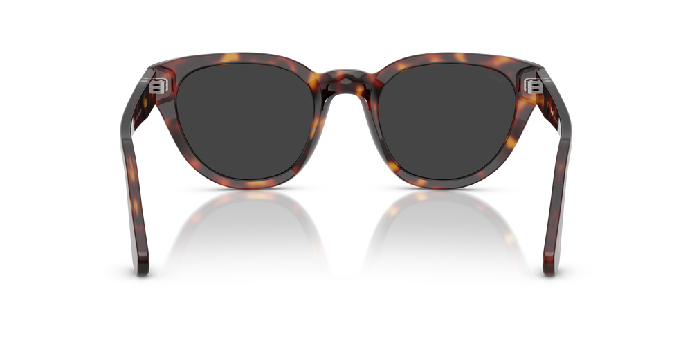 Persol PO3379S avec Monture Havana et Verres Gris - Image 5