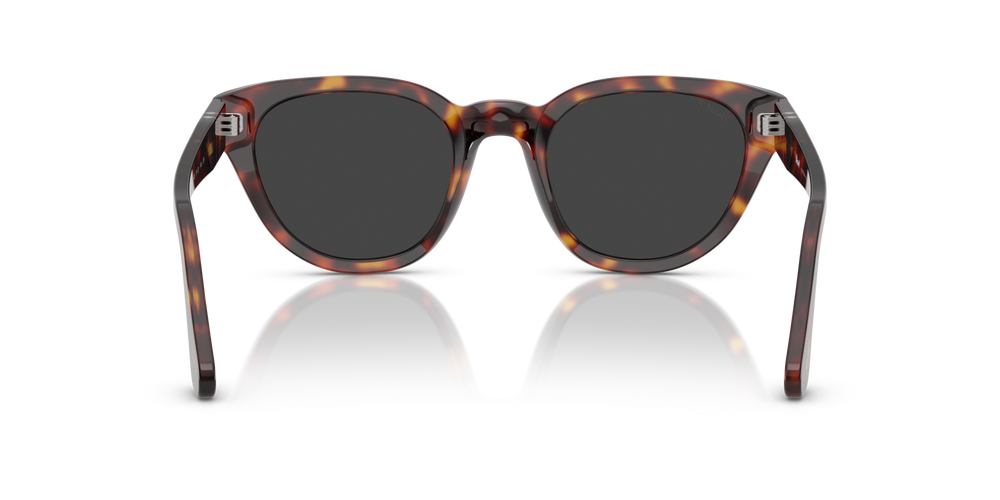 Persol PO3379S with Havana Frame and Grey Lenses - Image 5