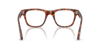 Persol PO3389V - Cecil with Havana Frame - Image 5