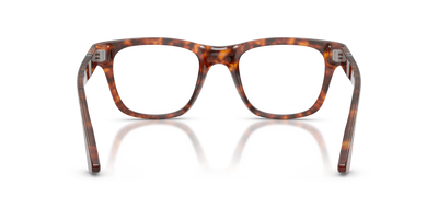 Persol PO3389V - Cecil with Havana Frame - Image 5