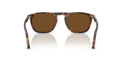 Persol PO3391S - Gae with Havana Frame and Brown Lenses - Image 5