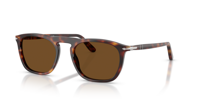 Visit PO3391S - Gae with Havana Frame and Brown Lenses