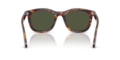 Persol PO3395S mit Havana Gestell und Grün Gläsern - Bild 5