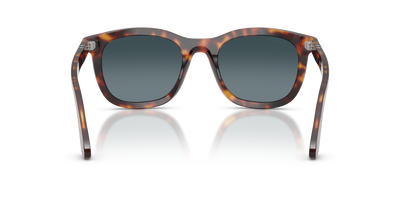 Persol PO3395S mit Havana Gestell und Blau Gläsern - Bild 5