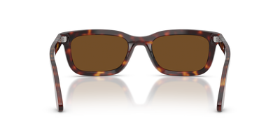 Persol PO3396S mit Havana Gestell und Braun Gläsern - Bild 5