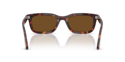 Persol PO3396S with Havana Frame and Brown Lenses - Image 5